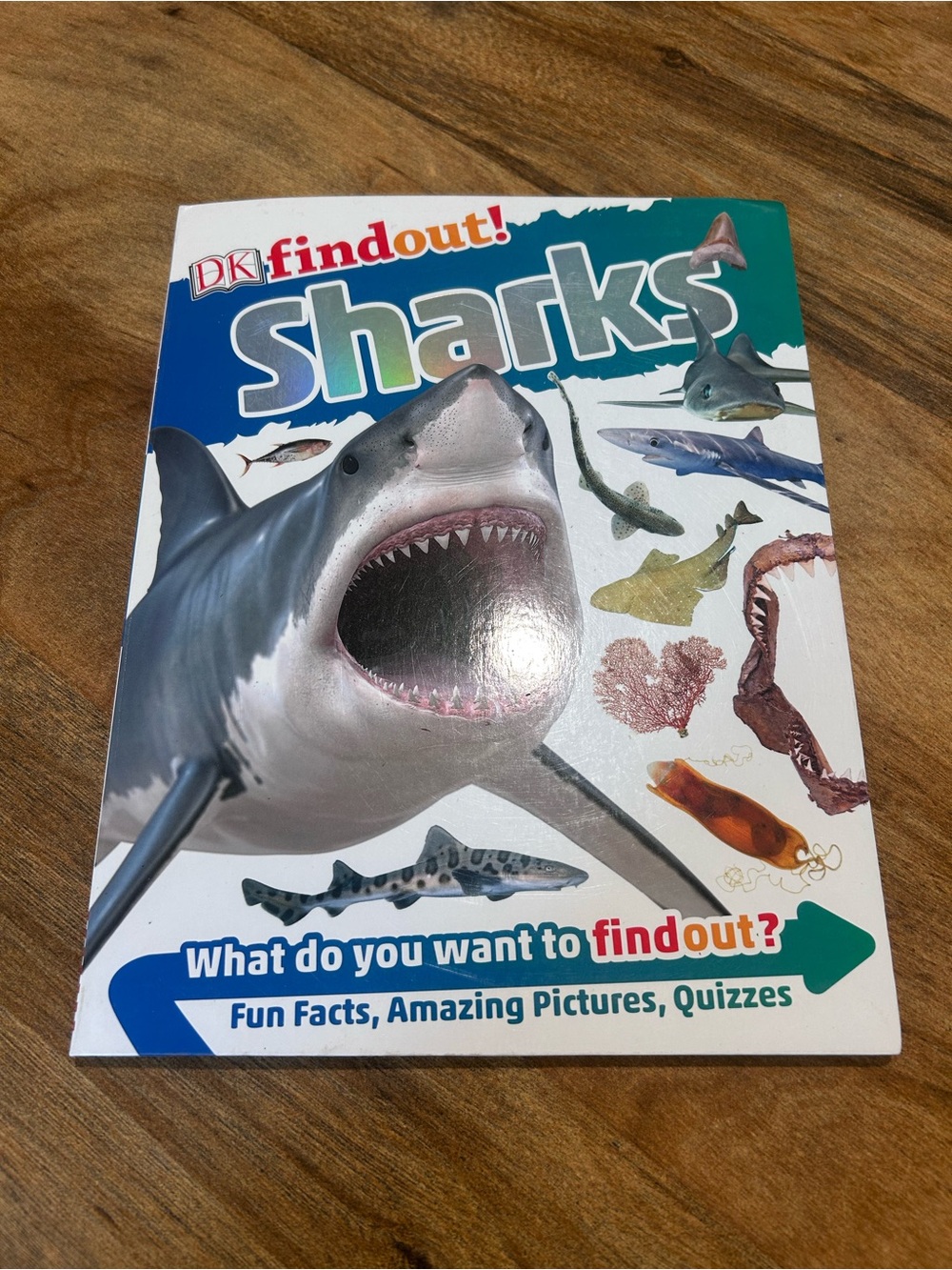 DK book sharks kids books